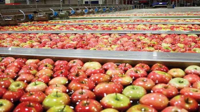 Unitec lavado manzana.jpg